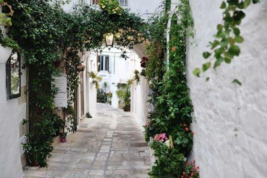 Ferienwohnung Attico Ostuni Exterior foto